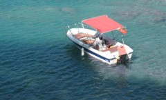 0533 748 6460 Ölüdeniz Hız Teknesi (Speed Boat) Fiyatları 2023 | 2024 | 2025